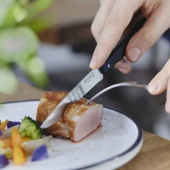 Opinel Coutellerie*Coffret de 4 couteaux N°125 Bon Appétit+ Pro