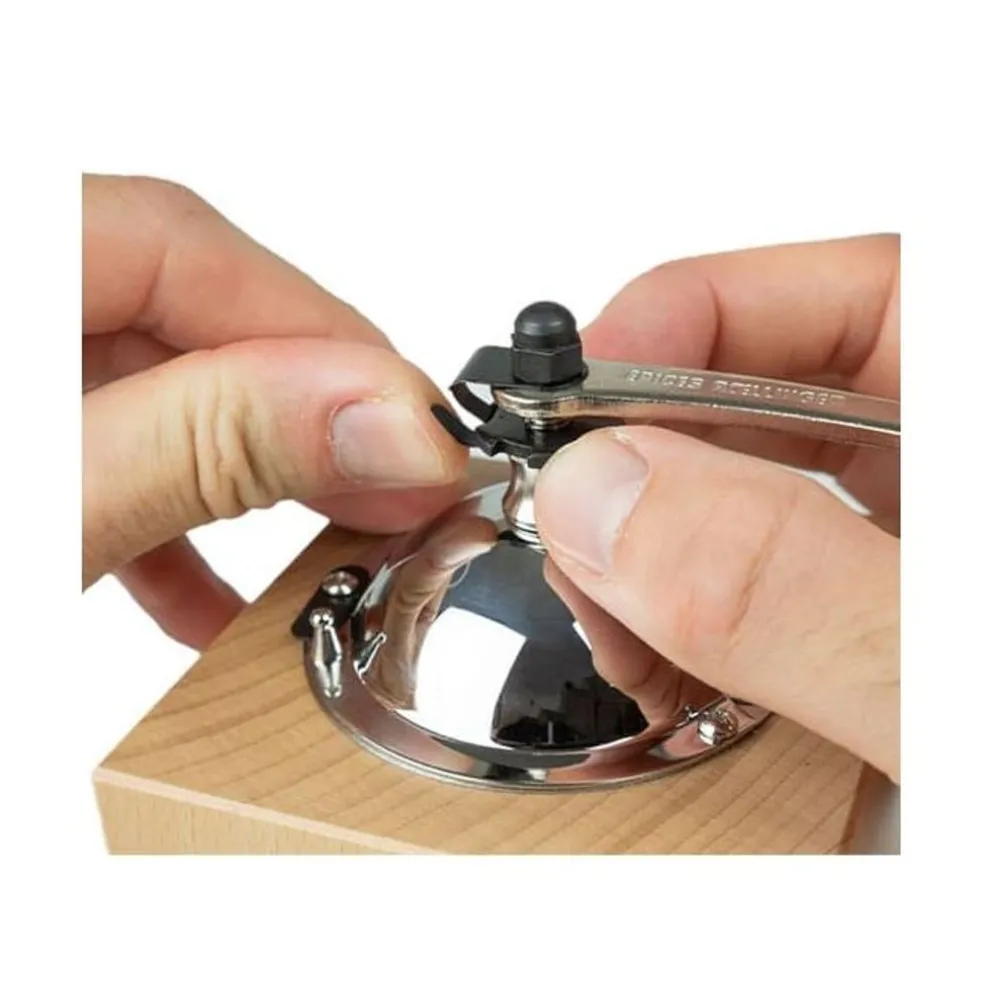 Peugeot Préparation*Moulin à poivre Roellinger olivier