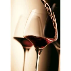 Chef & Sommelier Verres*Verre à pied Pro Tasting OPEN'UP 32 cl