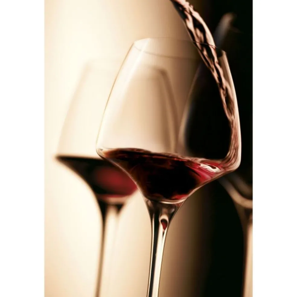 Chef & Sommelier Verres*Verre à pied Pro Tasting OPEN'UP 32 cl